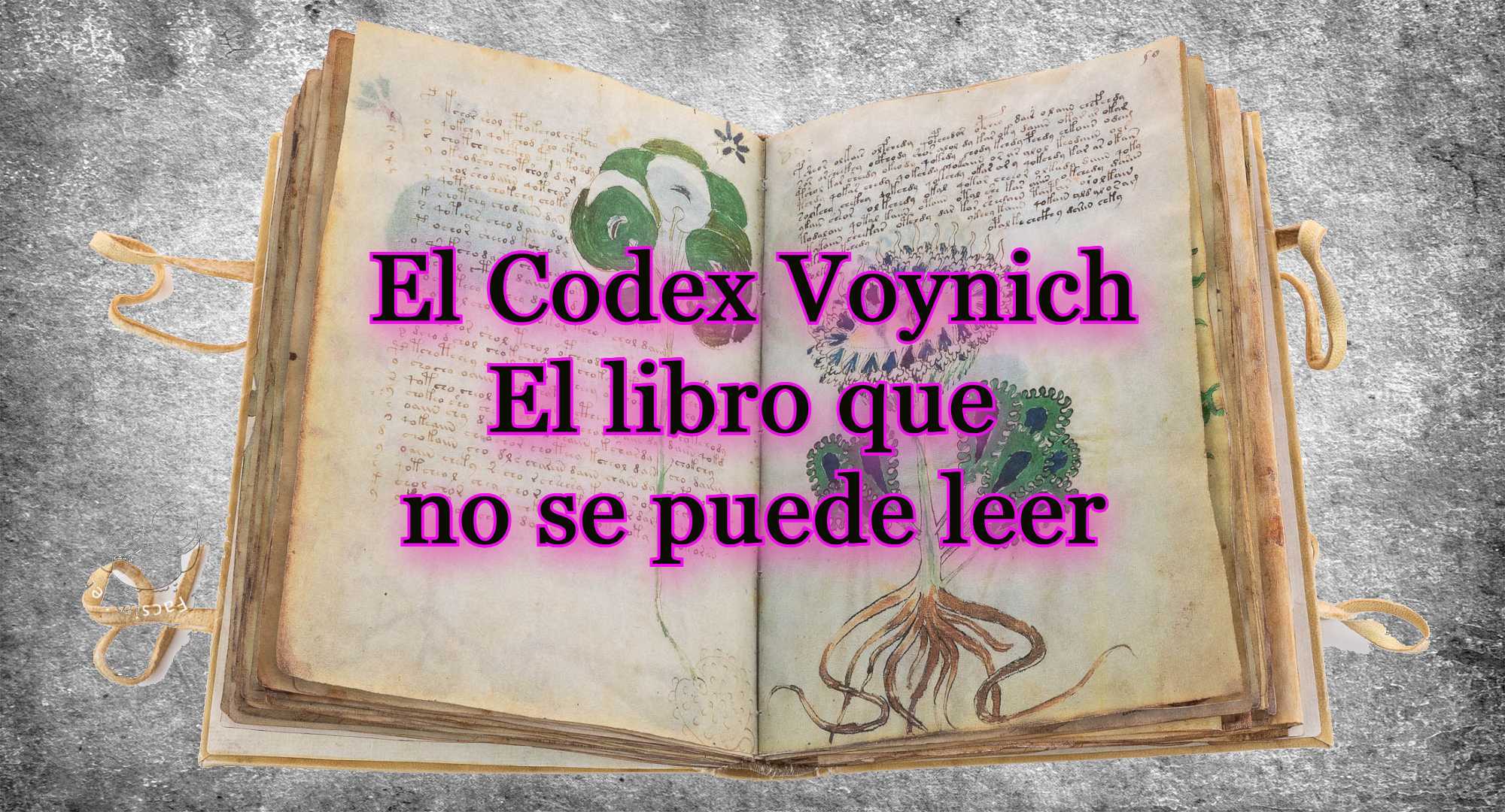 El libro que no se puede leer
