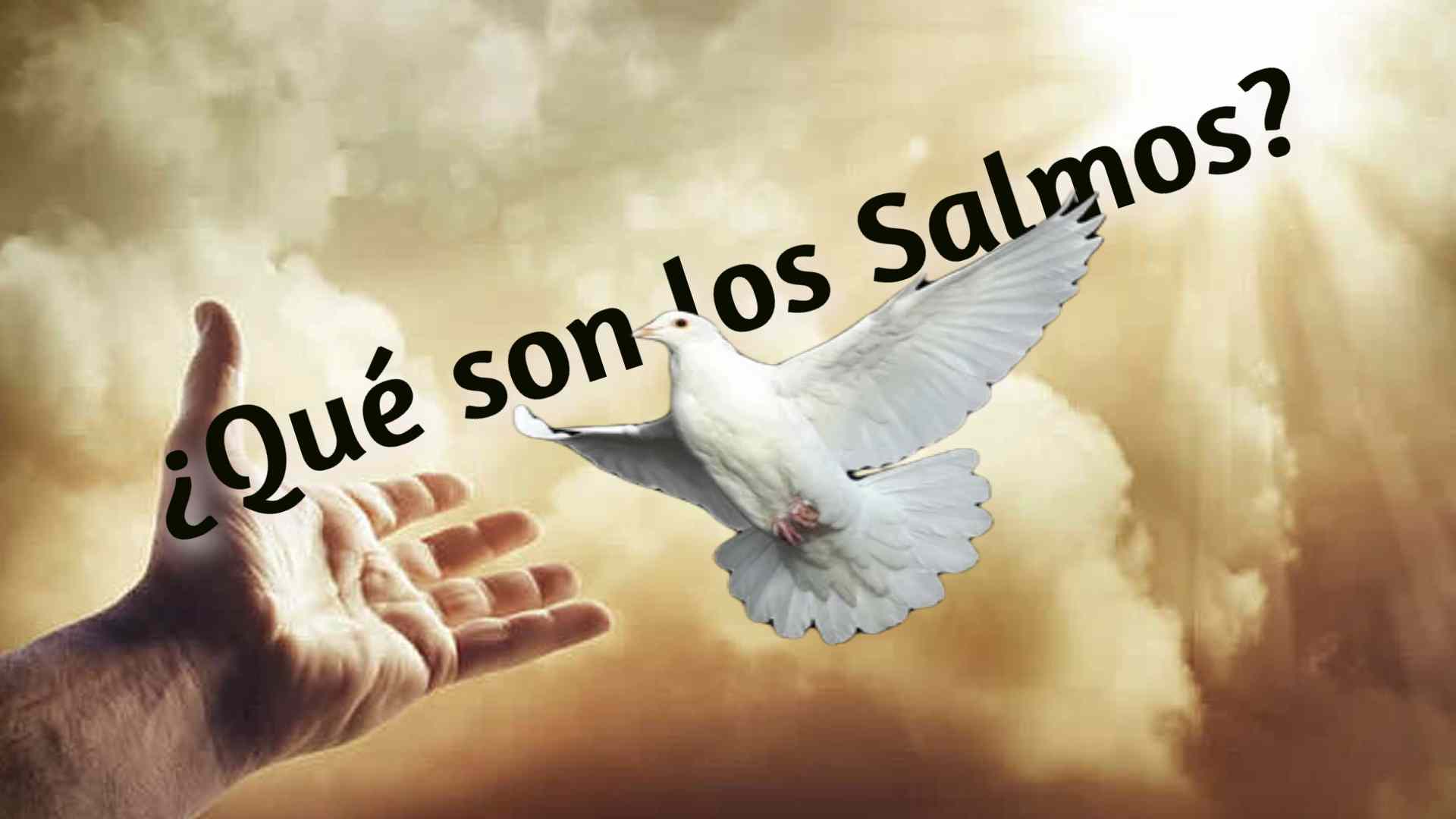 ¿Qué son los Salmos?