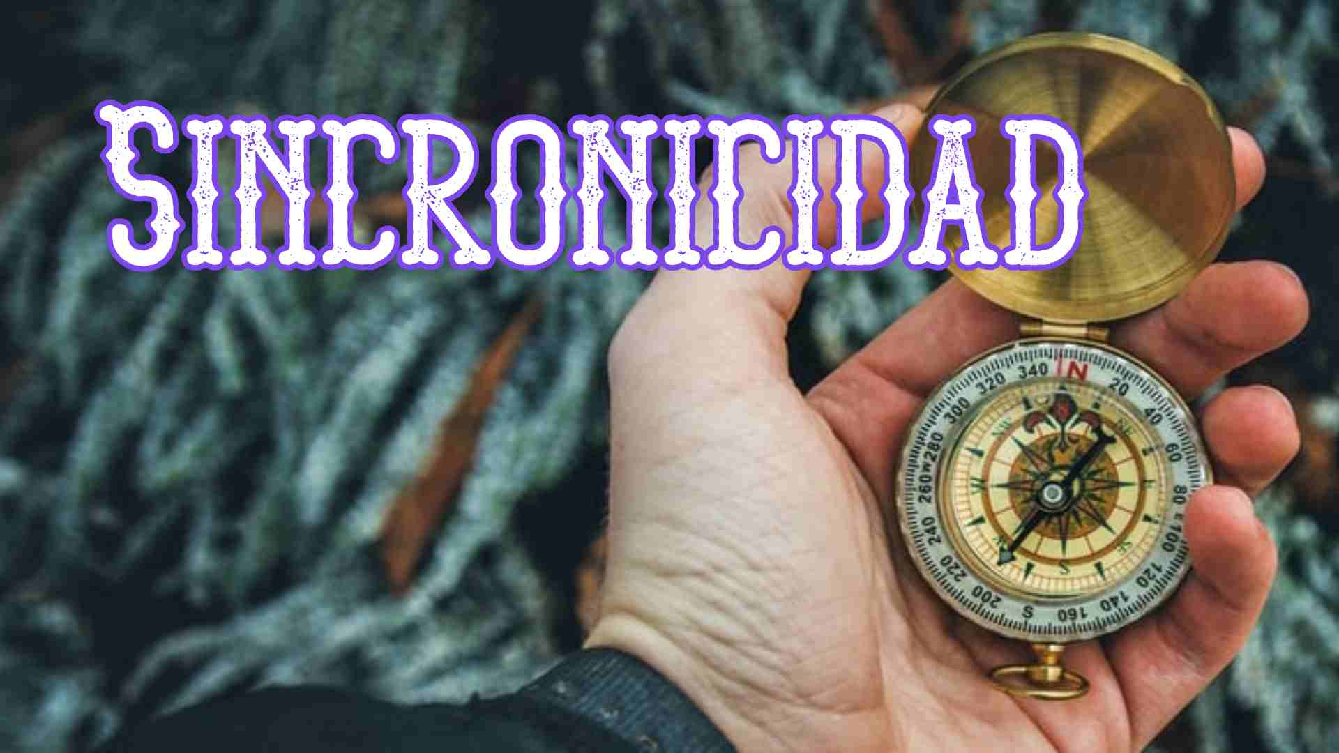 Sincronicidad