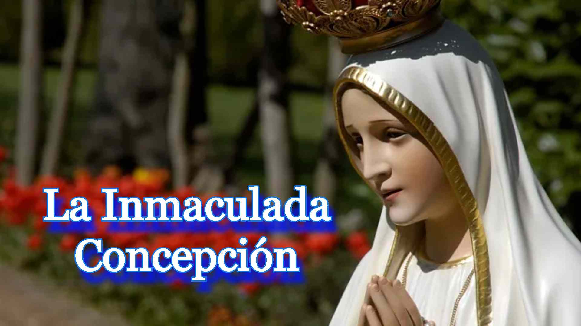 La Inmaculada Concepción y el día de las playas